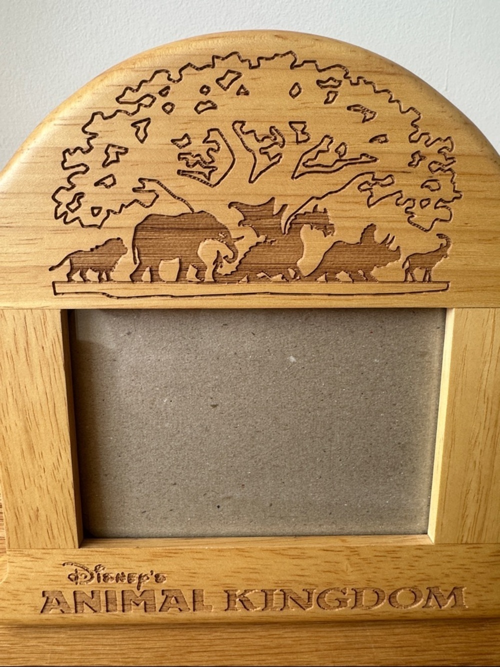 Disney Animal Kingdom Light Wood Frame - Natural Brown - Picture 2 of 5